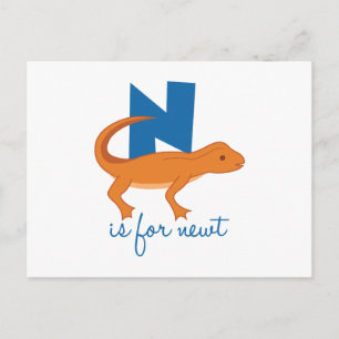 N är för Newt Vykort