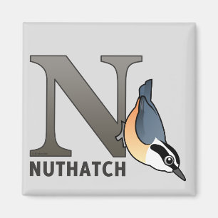 N är för Nuthatch Magnet
