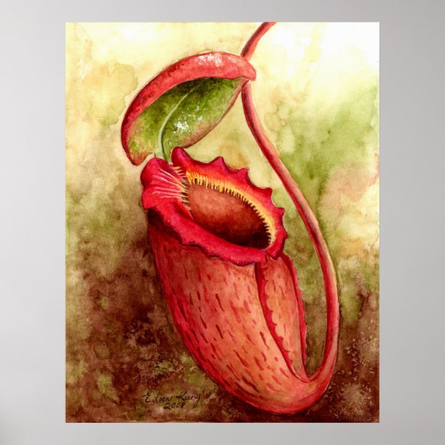 N Rajah Watercolor Art Poster (Framsidan)