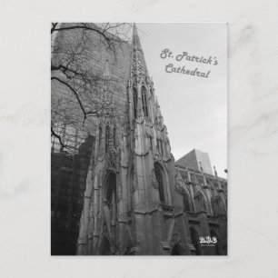 N.Y.E. St. Patrick's Cathedral Vykort