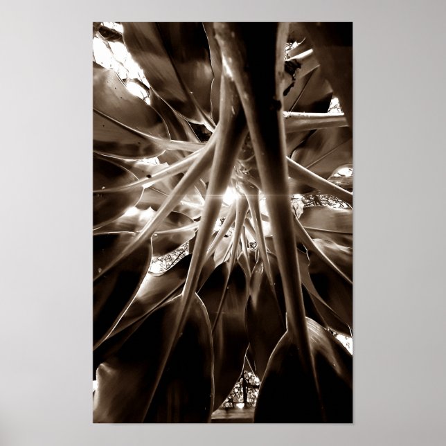 Na direção do sol poster (Framsidan)