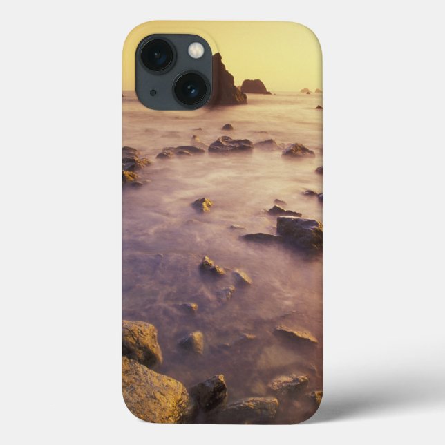 NA, Förenta staterna, Kalifornien, norra Kaliforni (Baksida)