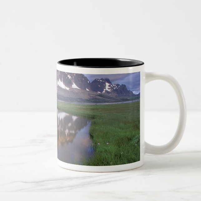 NA, Kanada, Alberta, Tonoquin Valley. Jasper Två-Tonad Mugg (Höger)