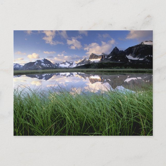 NA, Kanada, Alberta, Tonquin Valley. Jasper Vykort (Framsida)