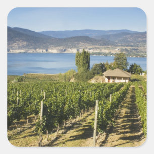 NA; Kanada; British Columbia; Okanagan Valley; Fyrkantigt Klistermärke