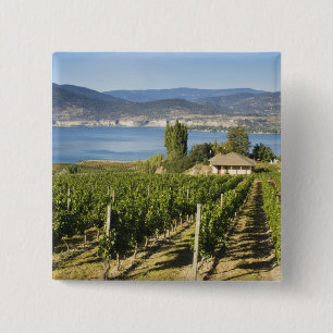 NA; Kanada; British Columbia; Okanagan Valley; Knapp
