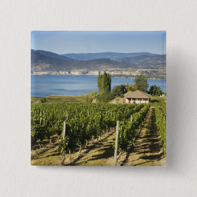 NA; Kanada; British Columbia; Okanagan Valley; Knapp (Framsida)