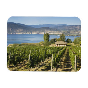 NA; Kanada; British Columbia; Okanagan Valley; Magnet