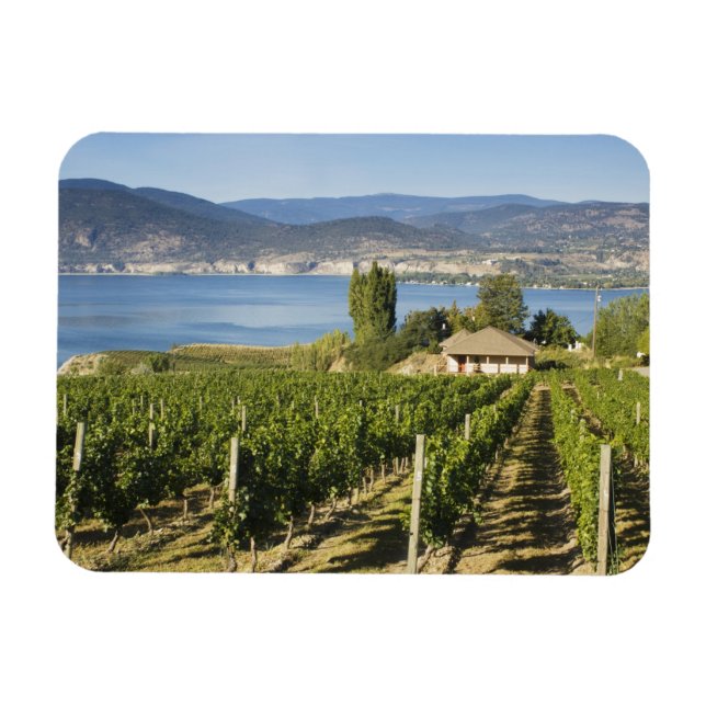 NA; Kanada; British Columbia; Okanagan Valley; Magnet (Horisontell)