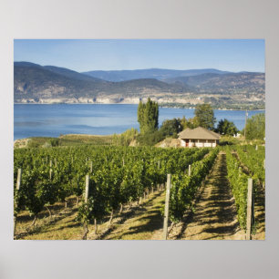 NA; Kanada; British Columbia; Okanagan Valley; Poster