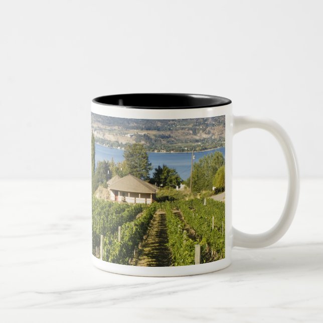 NA; Kanada; British Columbia; Okanagan Valley; Två-Tonad Mugg (Höger)