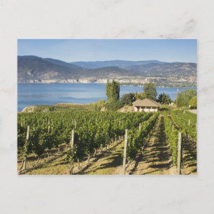 NA; Kanada; British Columbia; Okanagan Valley; Vykort