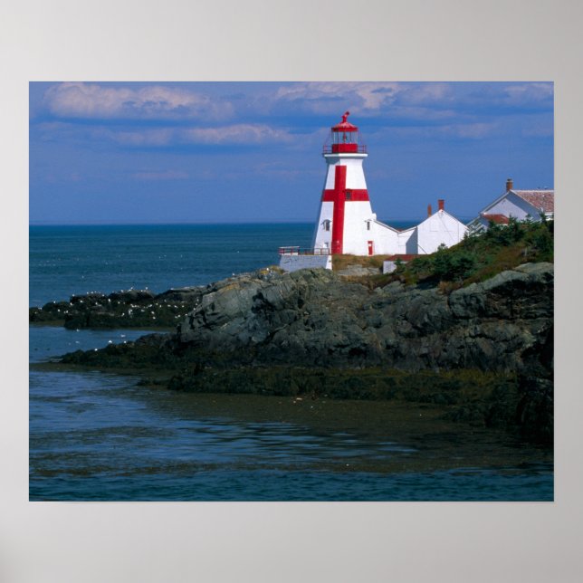 NA, Kanada, New Brunswick, Campobello Island. 4 Poster (Framsidan)