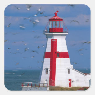 NA, Kanada, New Brunswick, Campobello Island. 8 Fyrkantigt Klistermärke