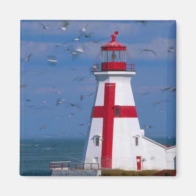 NA, Kanada, New Brunswick, Campobello Island. 8 Magnet (Framsidan)