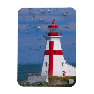 NA, Kanada, New Brunswick, Campobello Island. 8 Magnet