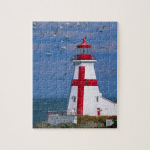 NA, Kanada, New Brunswick, Campobello Island. 8 Pussel