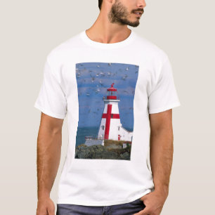 NA, Kanada, New Brunswick, Campobello Island. 8 Tee Shirt