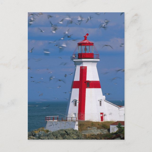 NA, Kanada, New Brunswick, Campobello Island. 8 Vykort (Framsida)