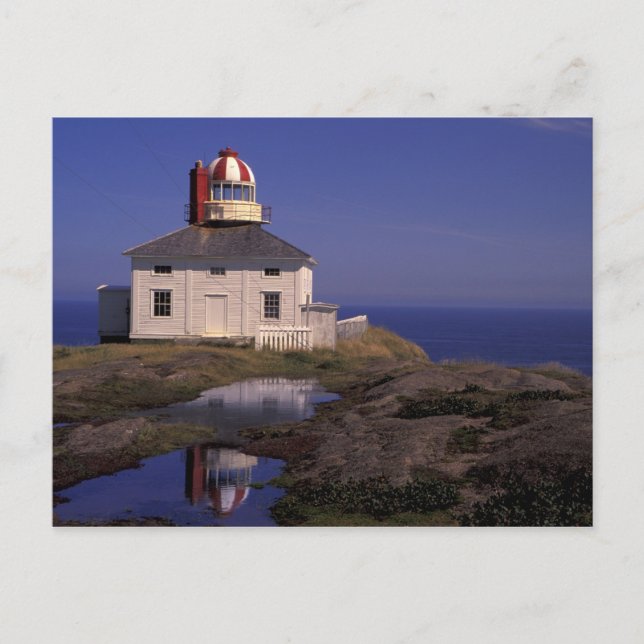 NA, Kanada, Newfoundland, Cape Spear. Gamla Cape Vykort (Framsida)