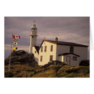 NA, Kanada, Newfoundland, Lobster Cove. Hummer Hälsningskort