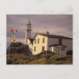 NA, Kanada, Newfoundland, Lobster Cove. Hummer Vykort