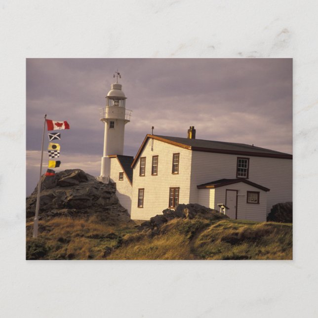 NA, Kanada, Newfoundland, Lobster Cove. Lobster Vykort (Framsida)