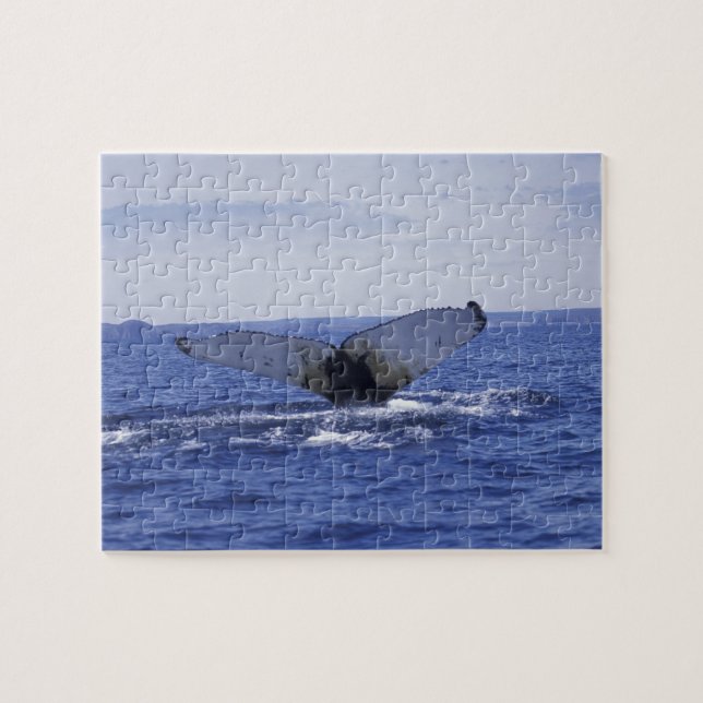 NA, Kanada, Newfoundland, Trinity Bay. Puckelval Pussel (Horisontell)