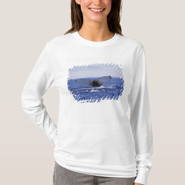 NA, Kanada, Newfoundland, Trinity Bay. Puckelval Tee (Framsida)