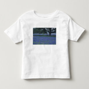 NA, Texas, Devine, Ek och blåklockor Tee