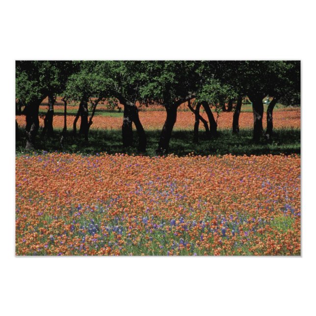 NA, Texas, Texas Backe Land, Buchan Dam Fototryck (Framsidan)