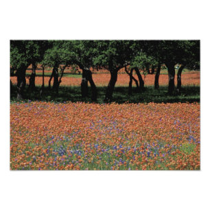 NA, Texas, Texas Hill Country, Buchan Dam, Fototryck