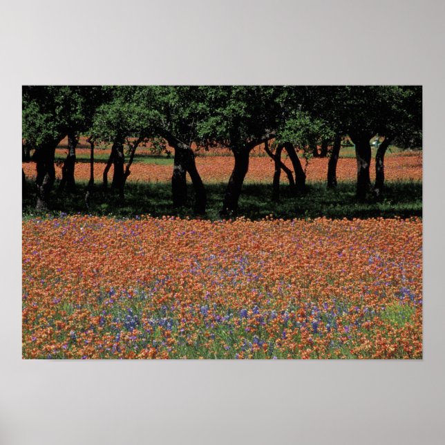 NA, Texas, Texas Hill Country, Buchan Dam, Poster (Framsidan)