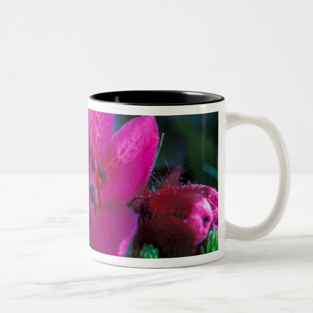 NA, USA, Alaska, Aleuterna, Vilda blommor Två-Tonad Mugg (Höger)