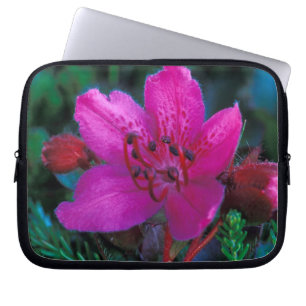NA, USA, Alaska, Aleuterna, Vildblommor Laptop Sleeve