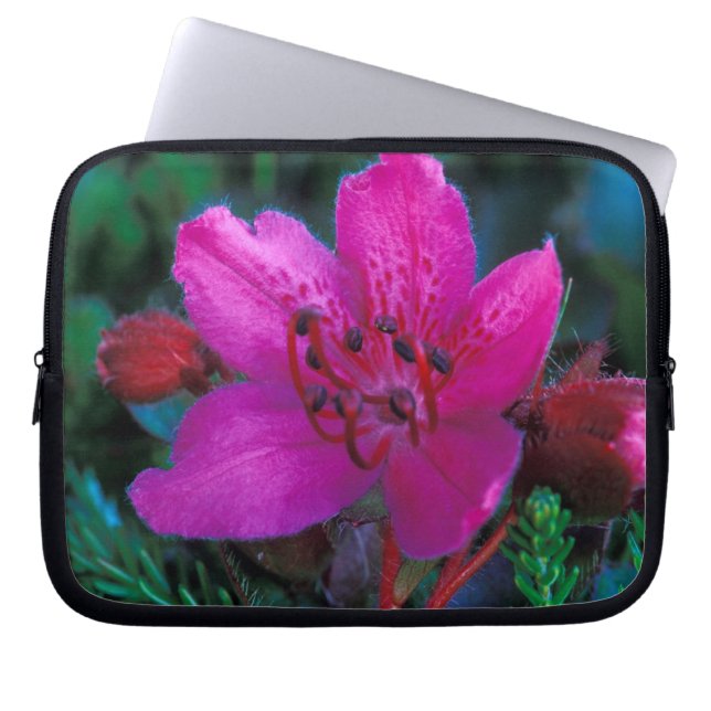 NA, USA, Alaska, Aleuterna, Vildblommor Laptop Sleeve (Framsidan)