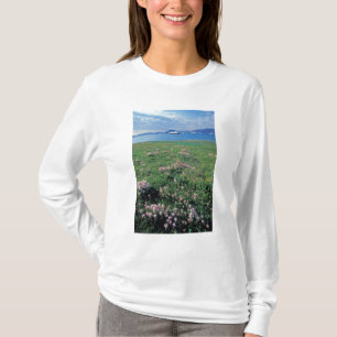 NA, USA, Alaska, Aleutian Island, naturskön med Tee