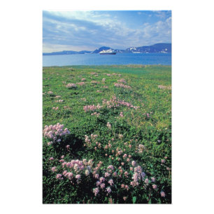 NA, USA, Alaska, Aleutian Island, Scenic med Fototryck
