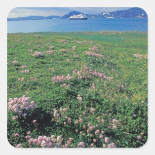 NA, USA, Alaska, Aleutianöarna, naturskön med Fyrkantigt Klistermärke