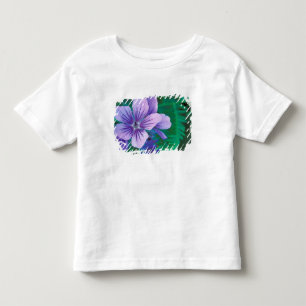 NA, USA, Alaska, Aleutiska öarna, Vild Tee