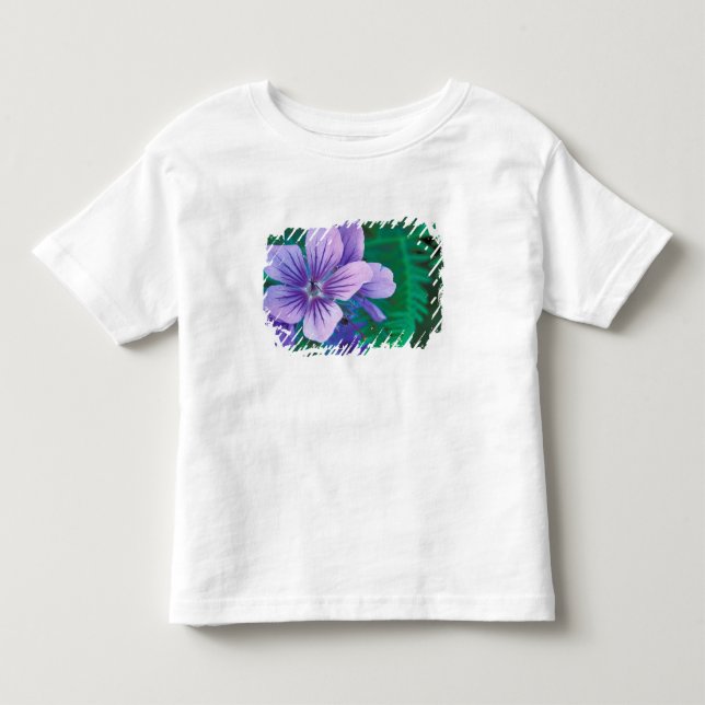 NA, USA, Alaska, Aleutiska öarna, Vild Tee (Framsida)