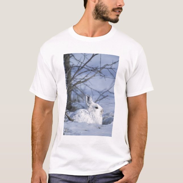 NA, USA, Alaska. Arktiska nationalparken Tee Shirt (Framsida)