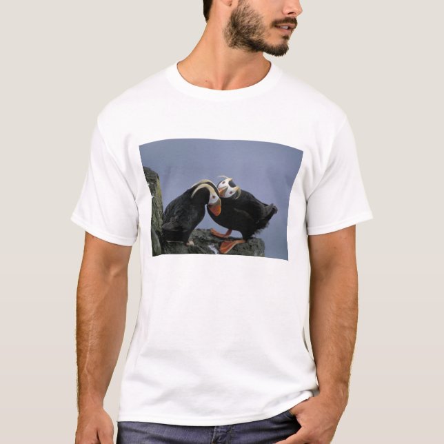 NA, USA, Alaska, Beringhavet, Pribilofs. Tofs Tee (Framsida)