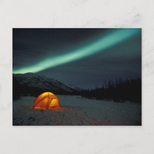 NA, USA, Alaska, Brooks Range. Gröna draperier Vykort