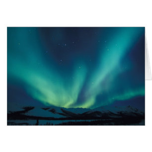 NA, USA, Alaska, Brooks Range, Gröna gardiner Hälsningskort