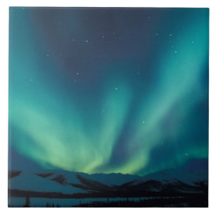 NA, USA, Alaska, Brooks Range, Gröna gardiner Kakelplatta