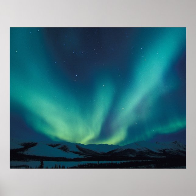 NA, USA, Alaska, Brooks Range, Gröna gardiner Poster (Framsidan)