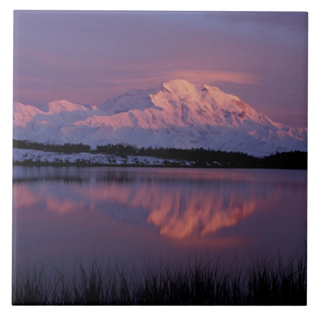 NA, USA, Alaska. Denali nationalpark. Mt Kakelplatta (Framsidan)