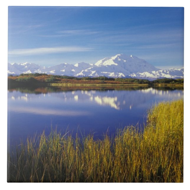 NA, USA, Alaska, Denali NP Mt. McKinley i Kakelplatta (Framsidan)