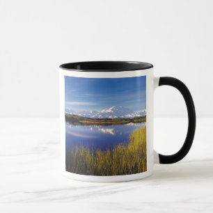 NA, USA, Alaska, Denali NP Mt. McKinley i Mugg